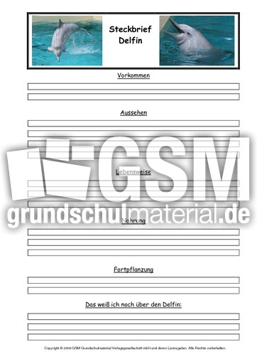 Delfin-Steckbriefvorlage.pdf